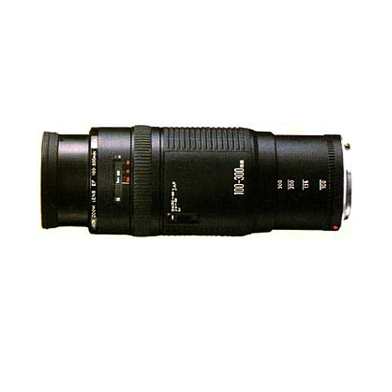 佳能EF 100-300mm f/5.6